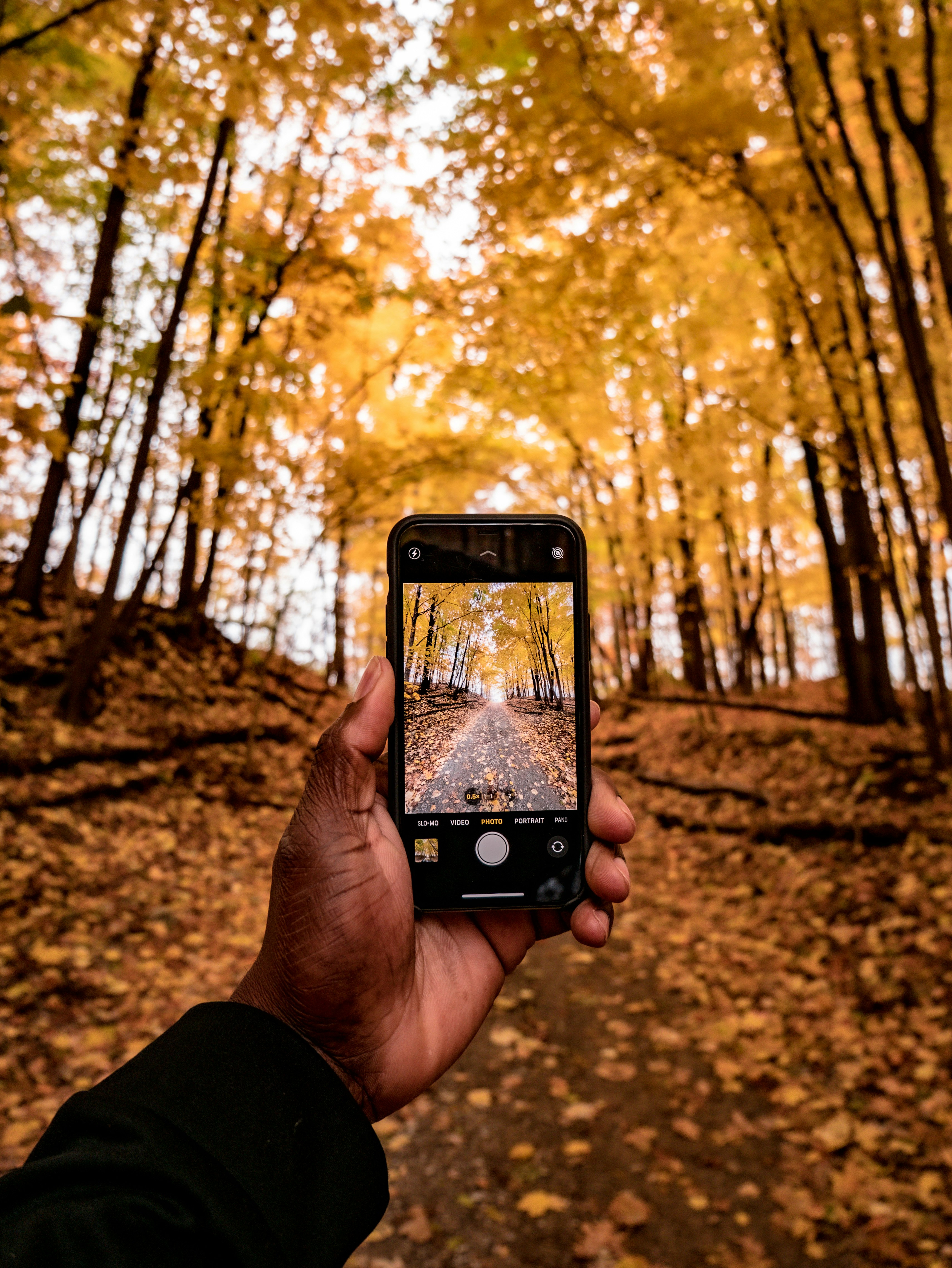 person taking photo of pathway using iPhone